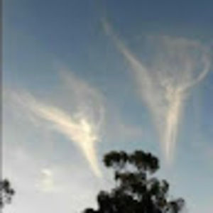 Meet your Posher, Marci